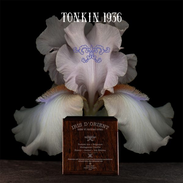 Diên Vĩ phương Đông