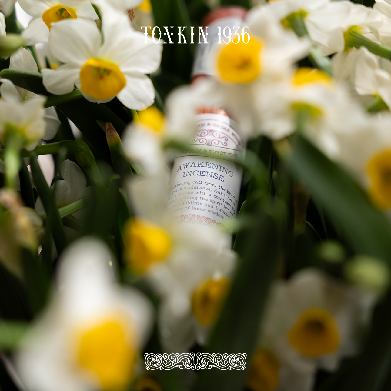 THUỶ TIÊN - Ảnh 3