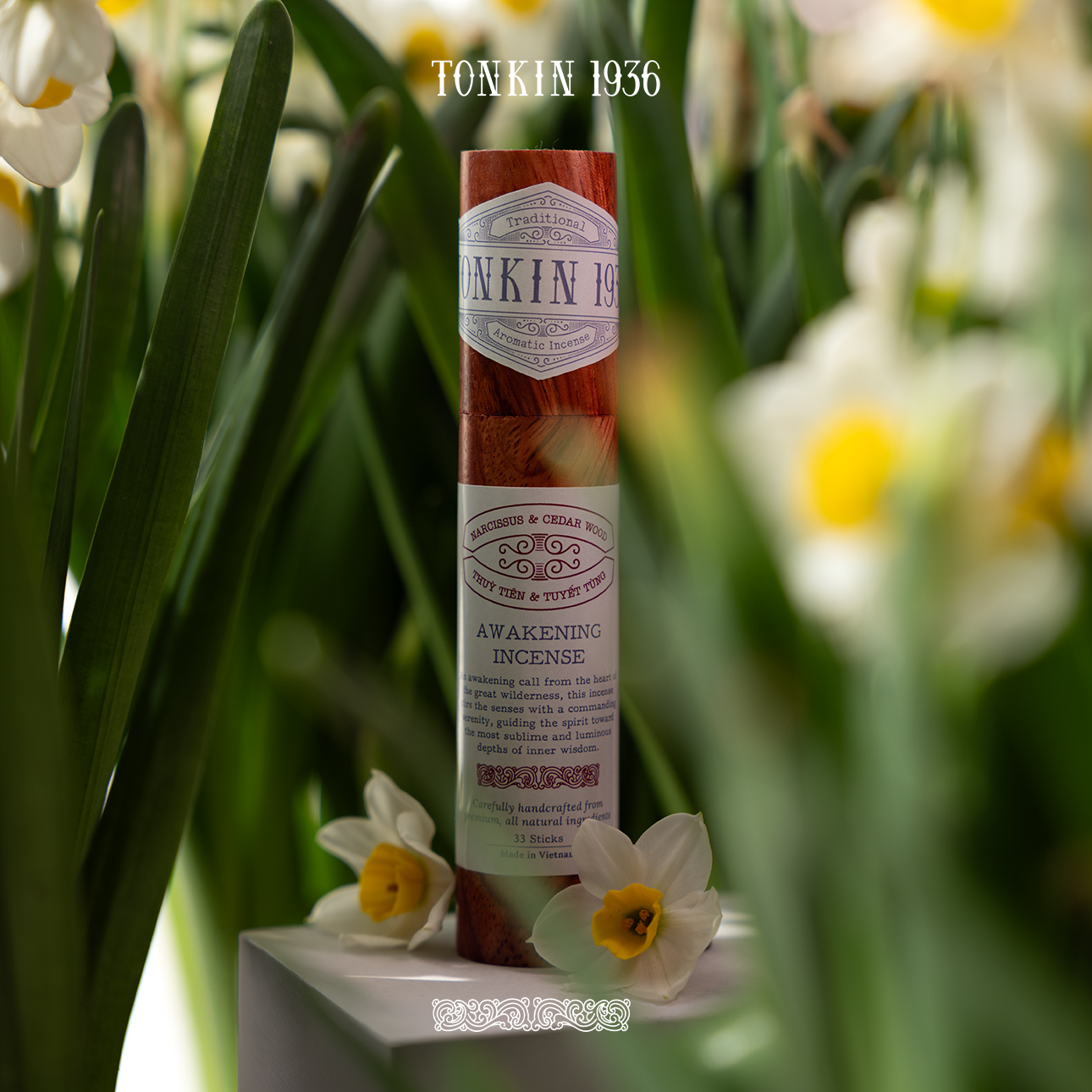 THUỶ TIÊN - Ảnh 4