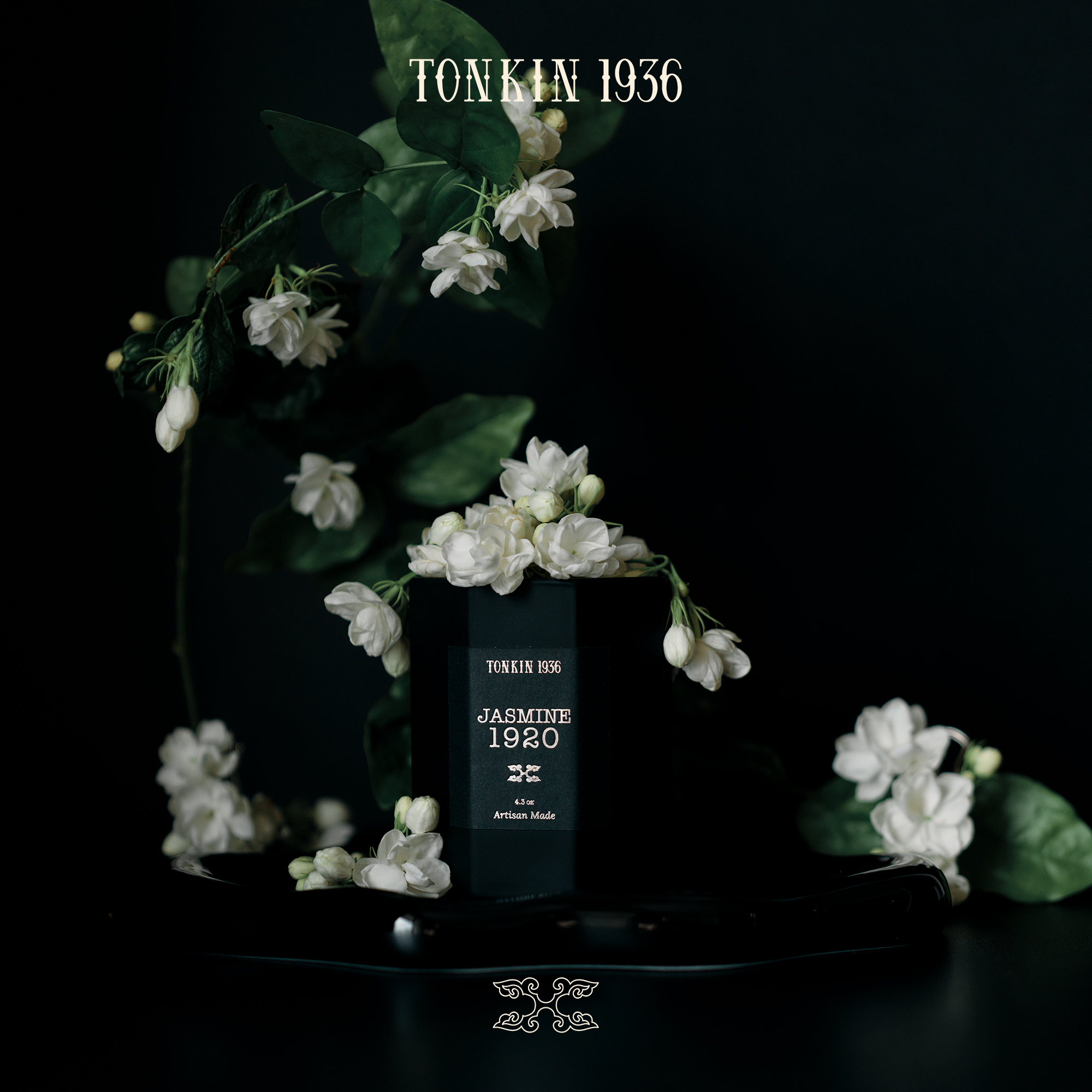 JASMINE 1920 - Ảnh 4