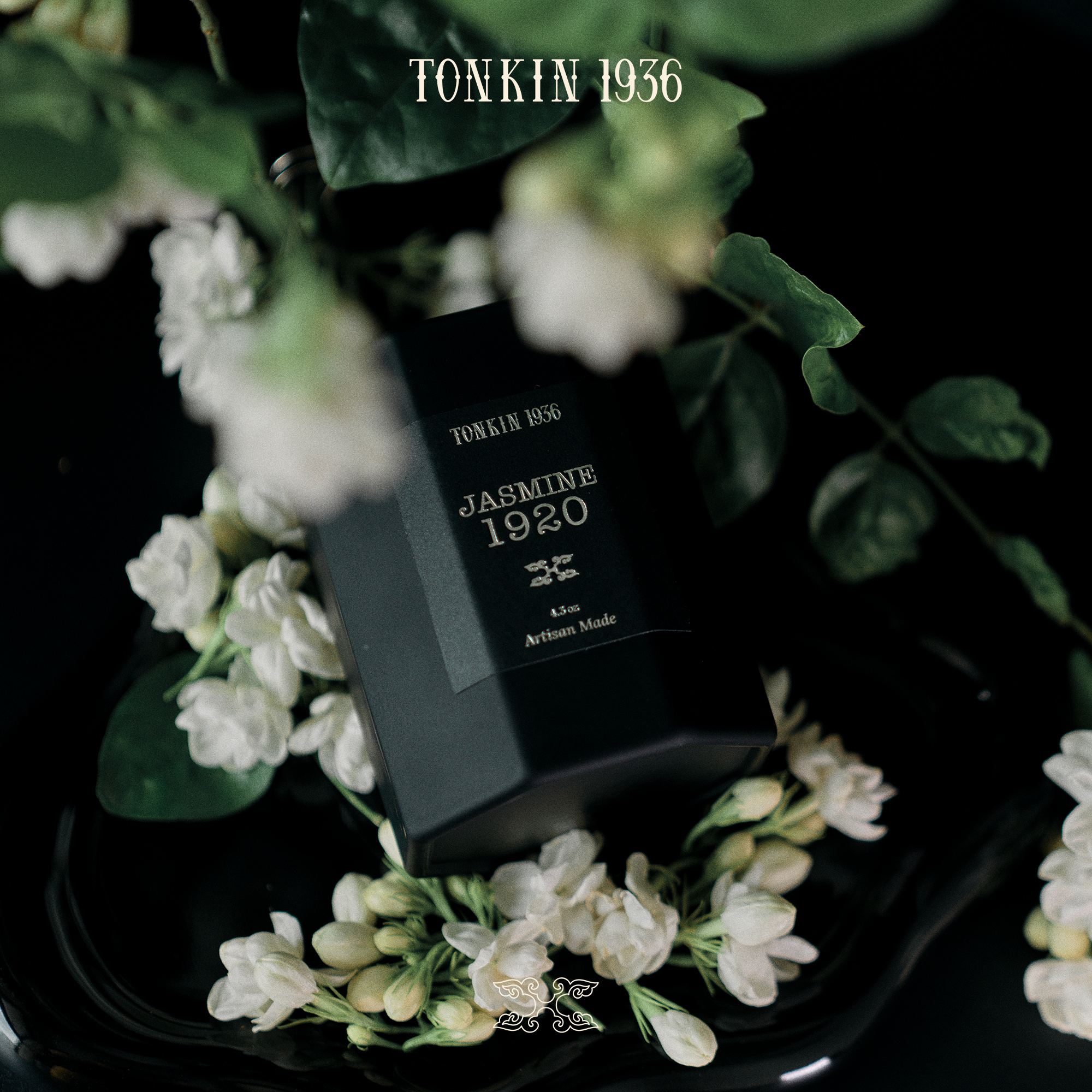 JASMINE 1920 - Ảnh 5