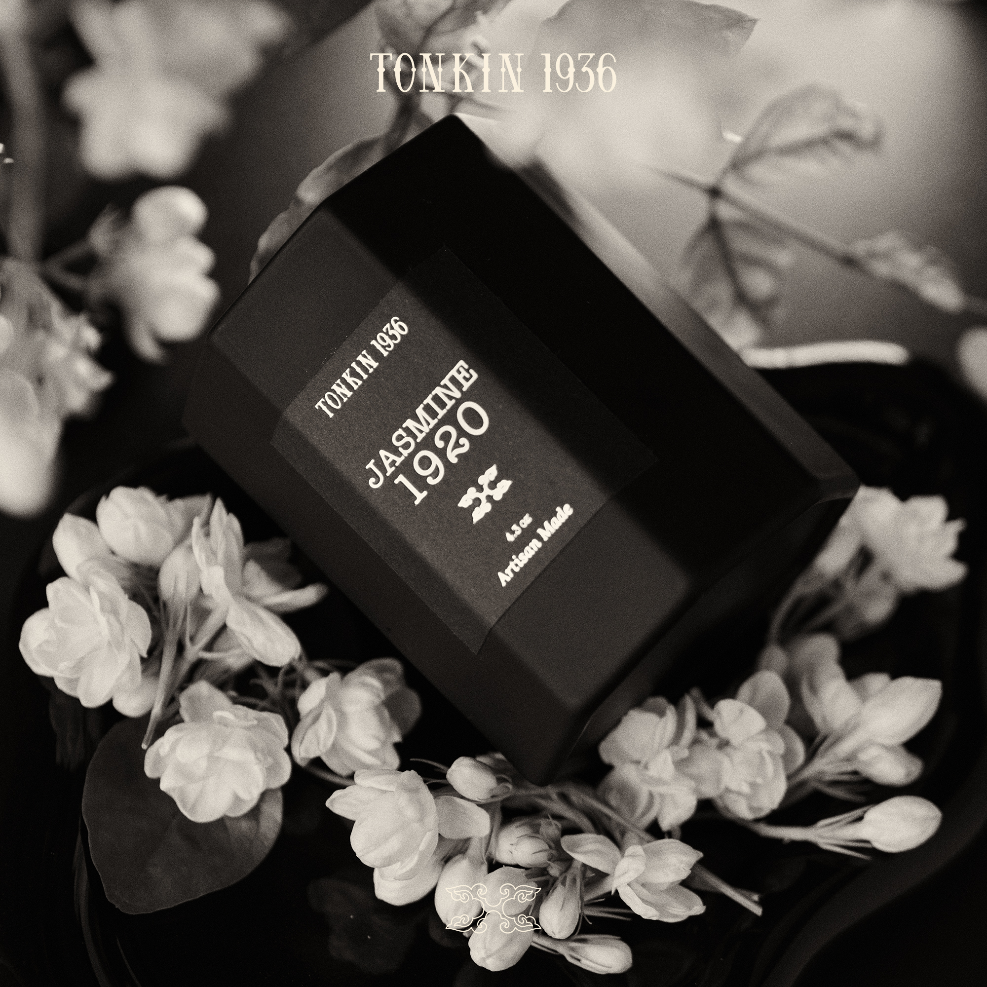 JASMINE 1920 - Ảnh 6