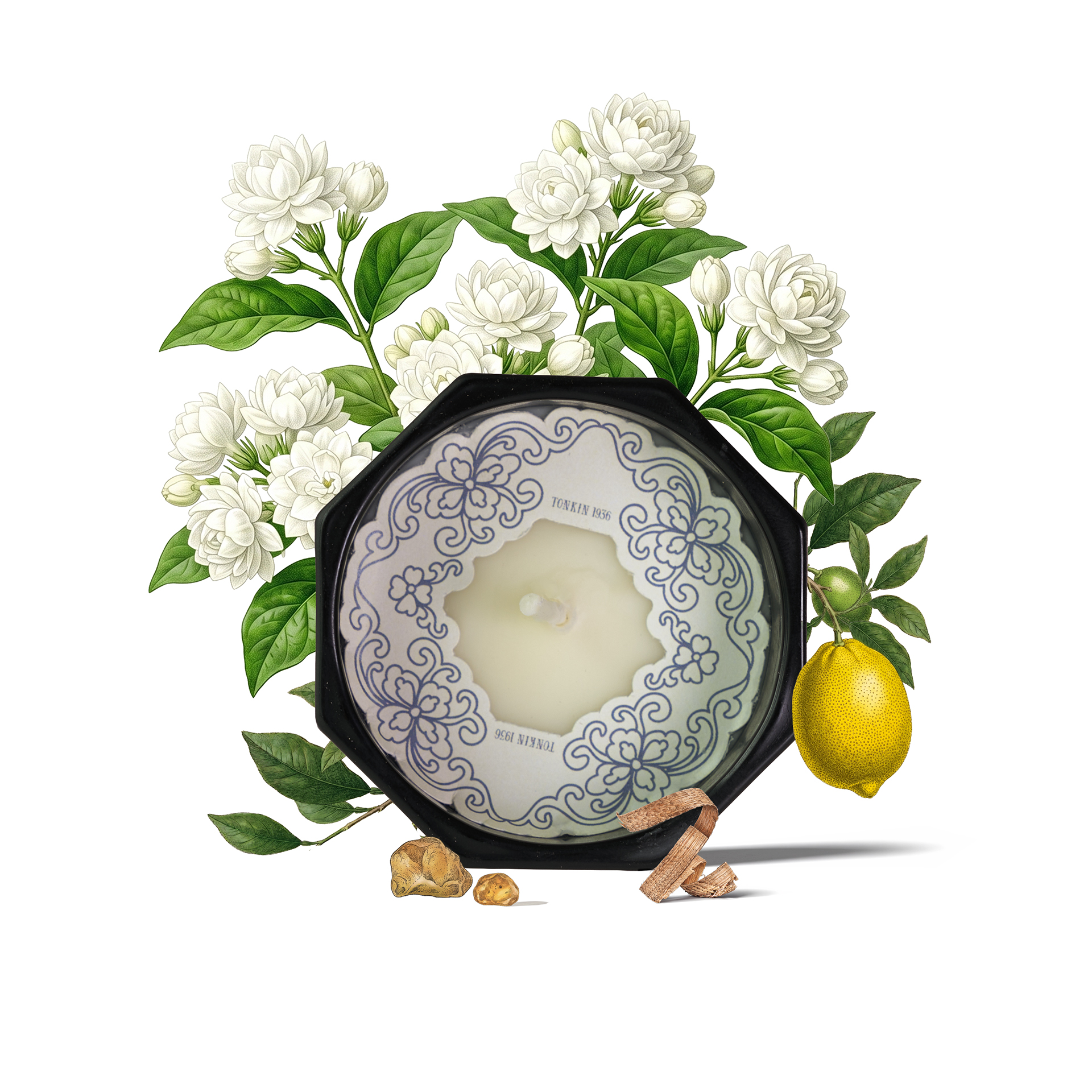 JASMINE 1920 - Ảnh 2