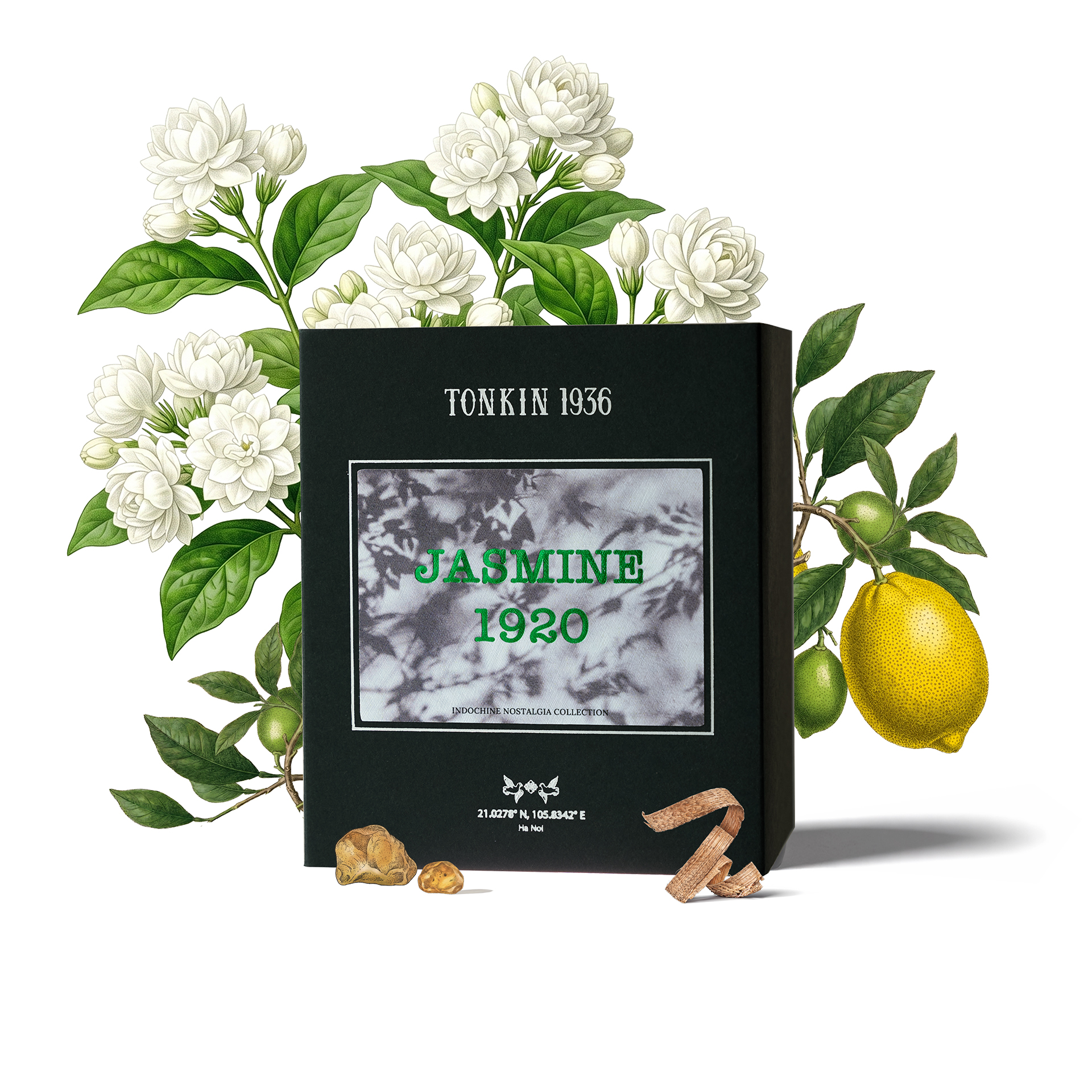 JASMINE 1920 - Ảnh 3