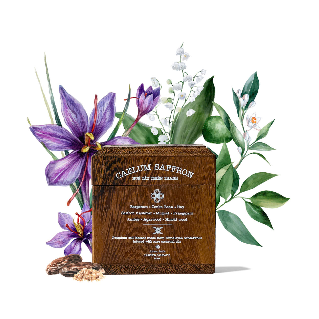 HUỆ TÂY THIÊN THANH | CAELUM SAFFRON - Ảnh 9